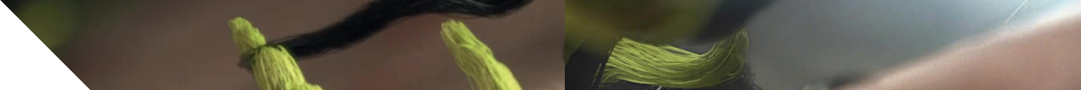 where are you image banner