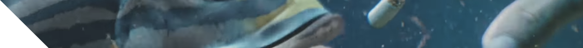 where are you image banner