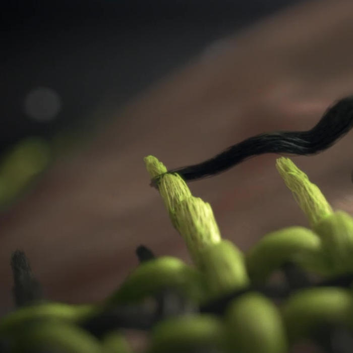 Visual effects post production FX artist demo reel award winning commercial nike biomorph
